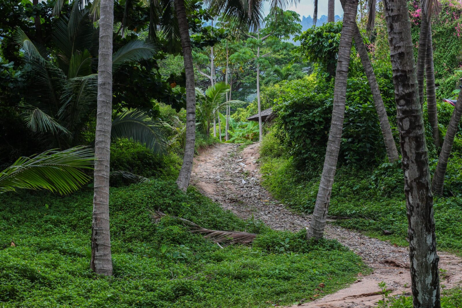 Serving cross-culturally in Southern Thailand